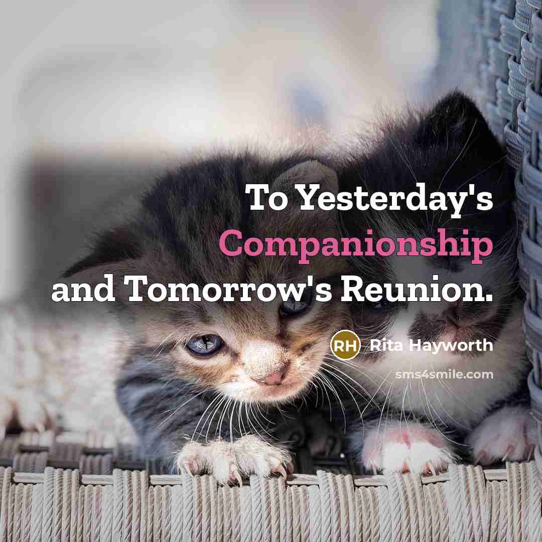 “To Yesterday's Companionship and Tomorrow's Reunion.…” quote by Rita Hayworth