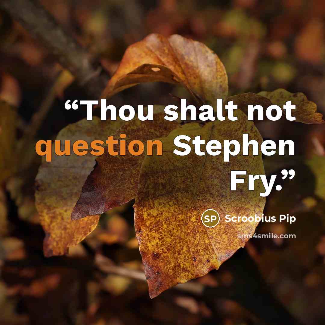 “Thou shalt not question Stephen Fry.” quote by Scroobius Pip