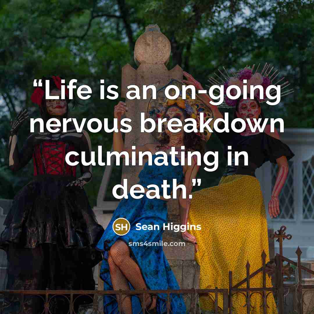 “Life is an on-going nervous breakdown culminating in death.” quote by Sean Higgins