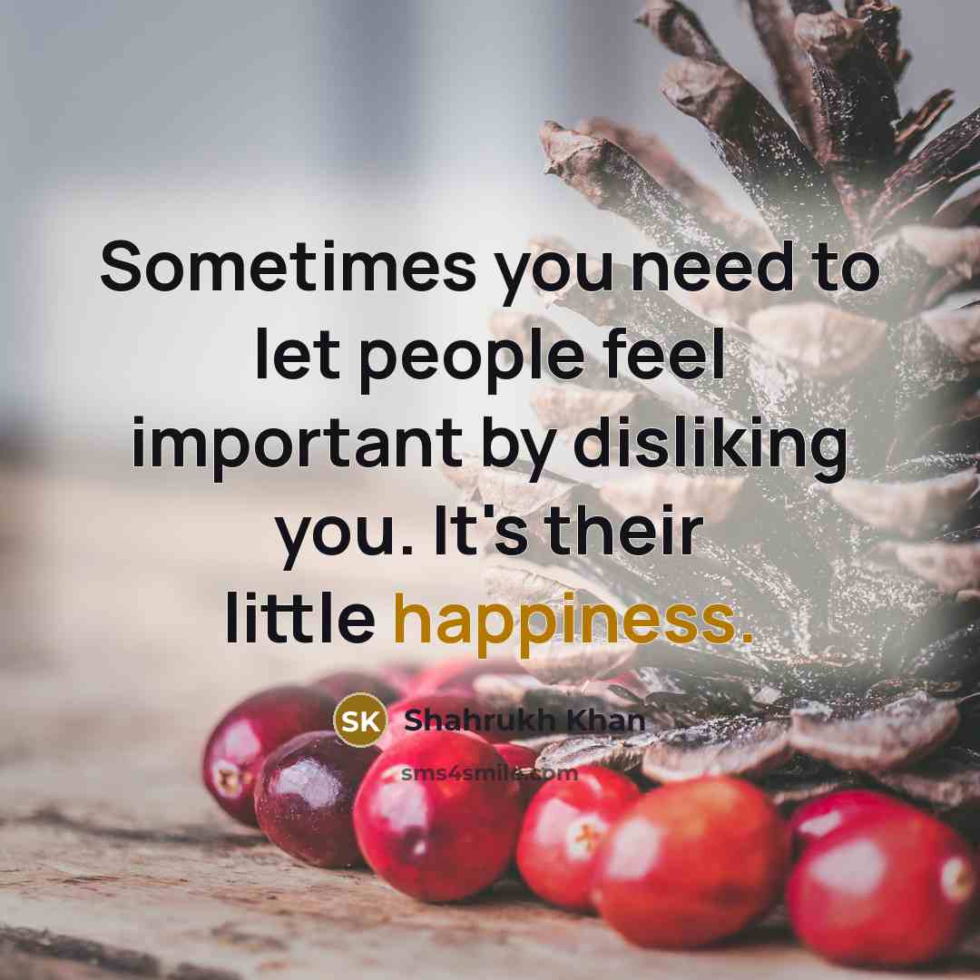“Sometimes you need to let people feel important by disliking…” quote by Shahrukh Khan