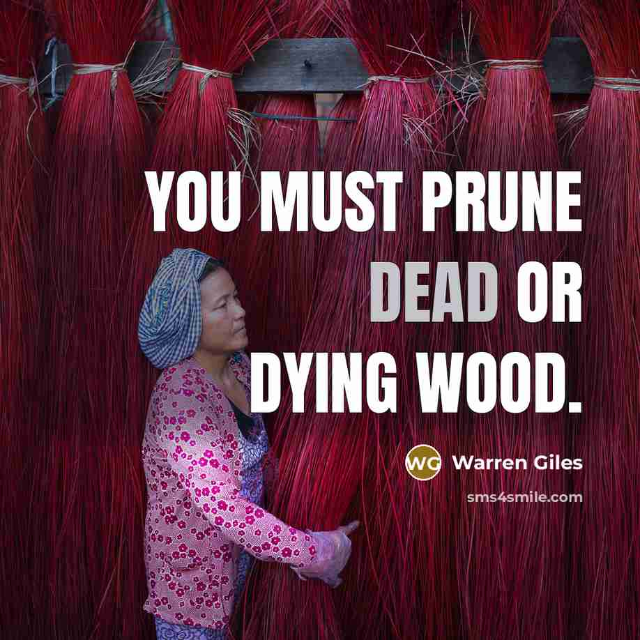 “You must prune dead or dying wood.…” quote by Warren Giles