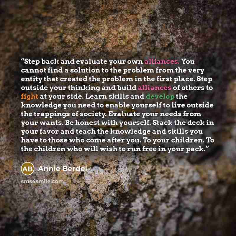 “Step back and evaluate your own alliances. You cannot find a solution to the problem from the very entity that created the problem in the first place. Step outside your thinking and build alliances of others to fight at your side. Learn skills and develop the knowledge you need to enable yourself…” quote by Annie Berdel