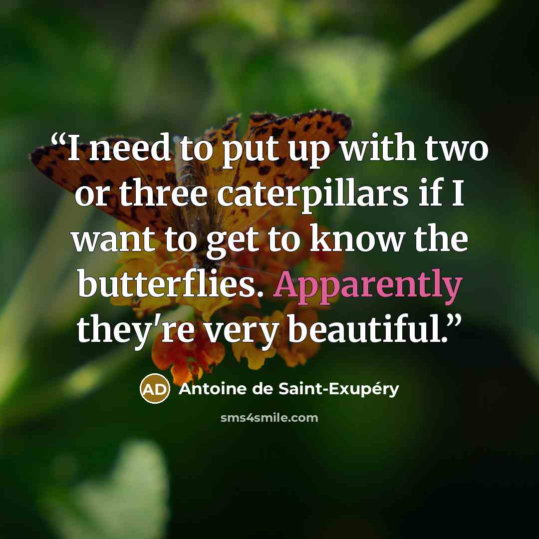 “I need to put up with two or three caterpillars if I want to get to know the butterflies. Apparently they're very beautiful.” quote by Antoine de Saint-Exupéry