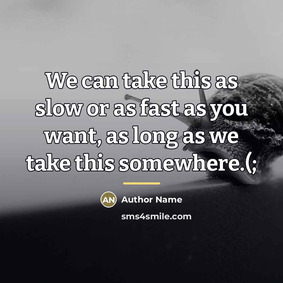 “We can take this as slow or as fast as…” quote by Author Name