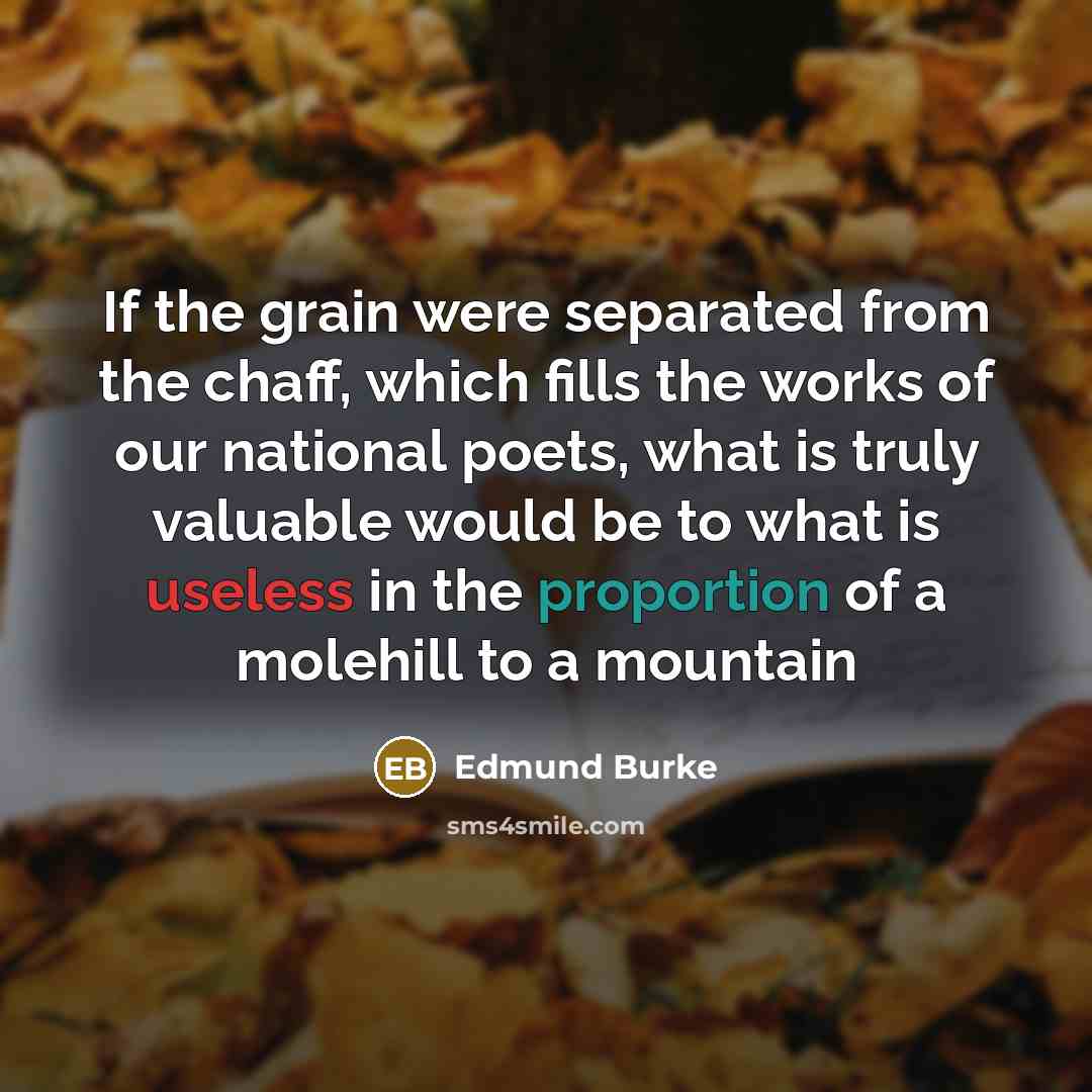 “If the grain were separated from the chaff, which fills…” quote by Edmund Burke
