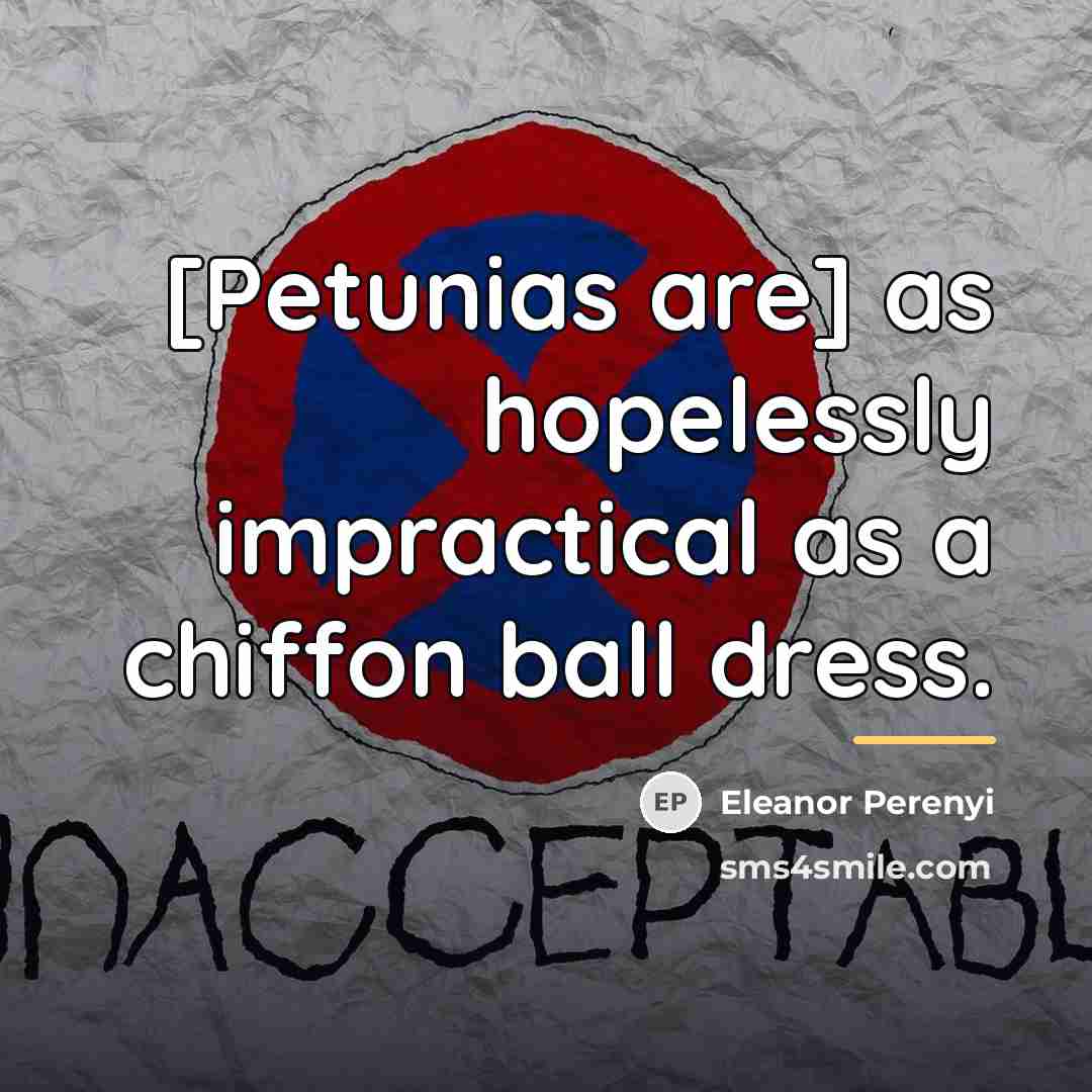 “[Petunias are] as hopelessly impractical as a chiffon ball dress.…” quote by Eleanor Perenyi