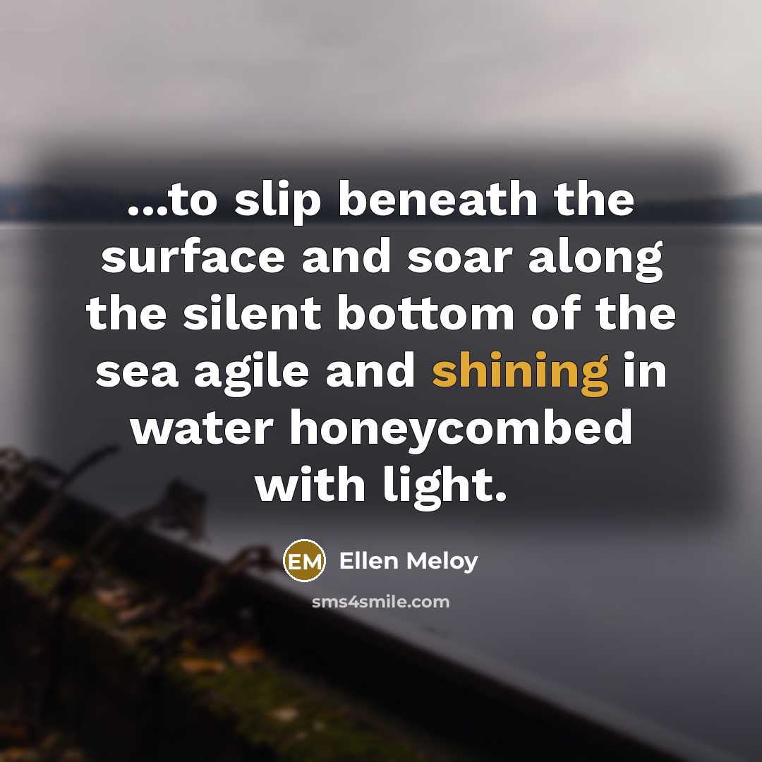 “...to slip beneath the surface and soar along the silent…” quote by Ellen Meloy