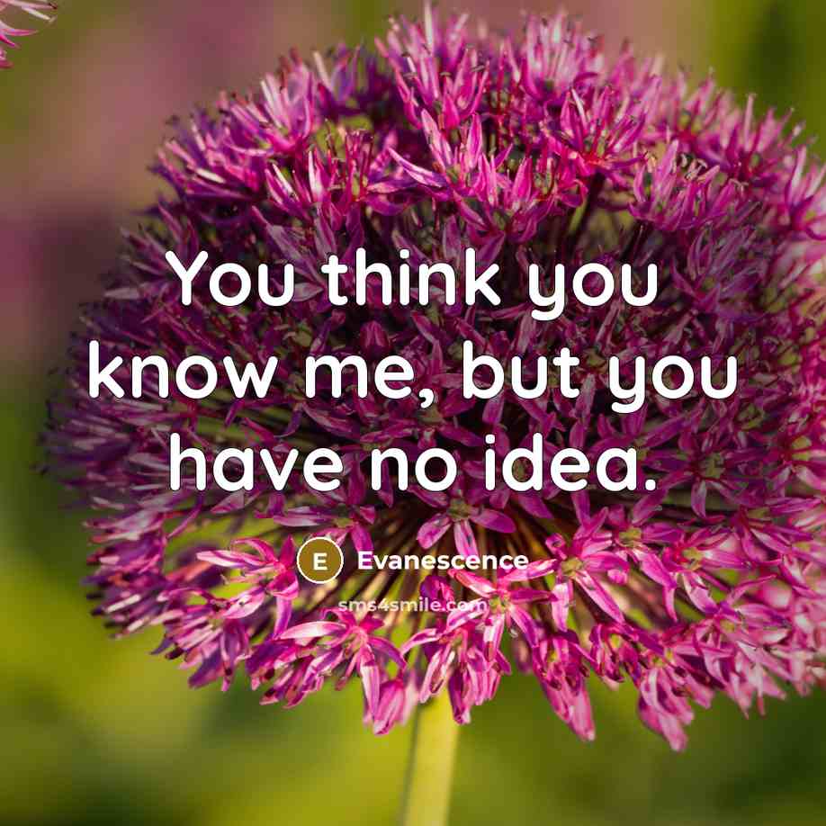 “You think you know me, but you have no idea.” quote by Evanescence