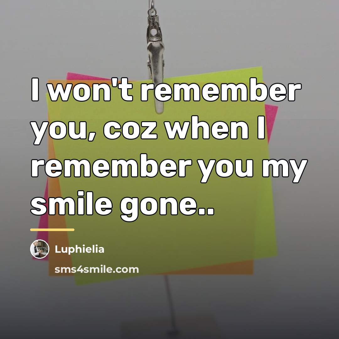 “I won't remember you, coz when I remember you my…” quote by Luphielia