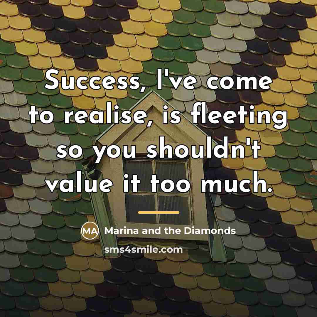 “Success, I've come to realise, is fleeting so you shouldn't…” quote by Marina and the Diamonds