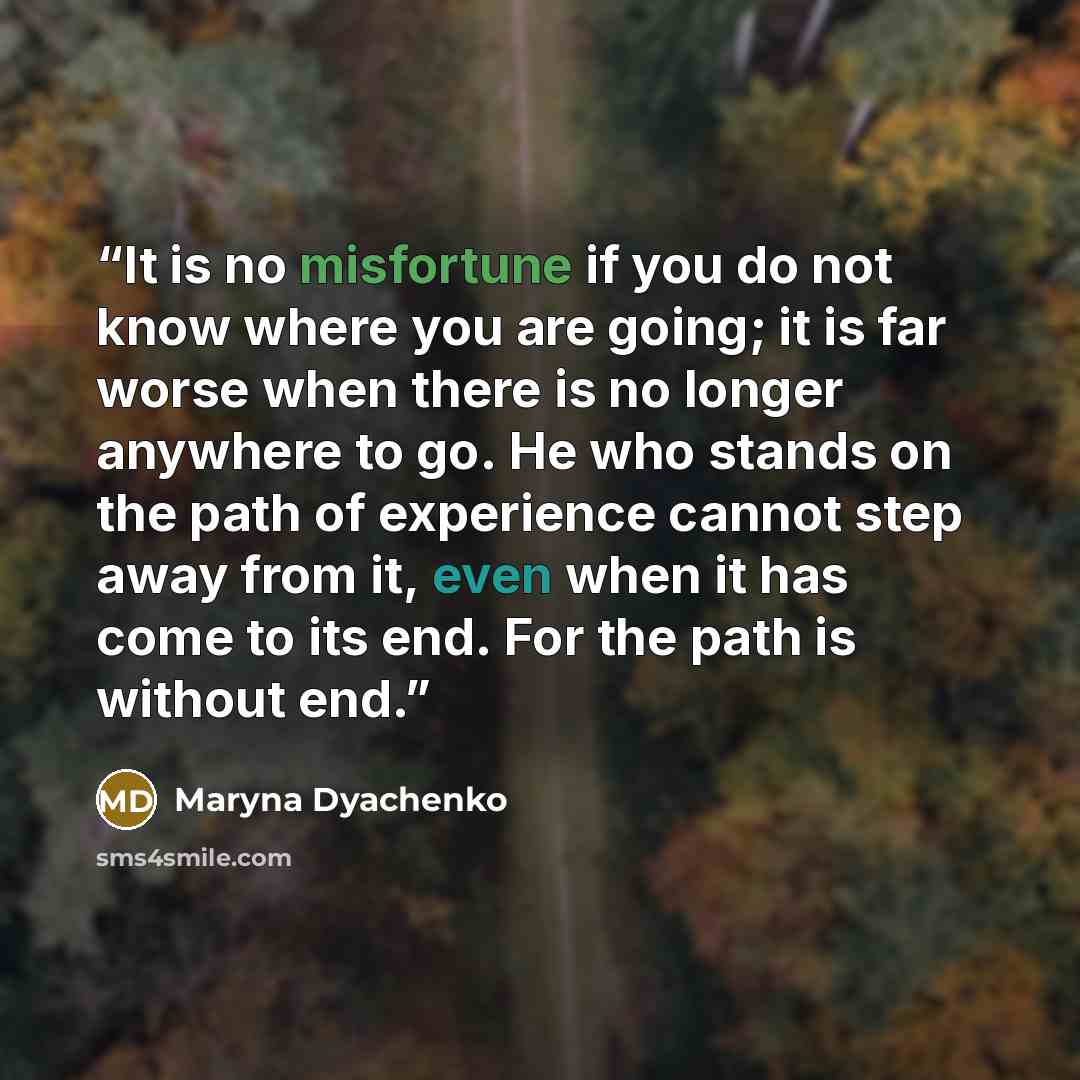 “It is no misfortune if you do not know where you are going; it is far worse when there is no longer anywhere to go. He who stands on the path of experience cannot step away from it, even when it has come to its end. For the path is without end.” quote by Maryna Dyachenko