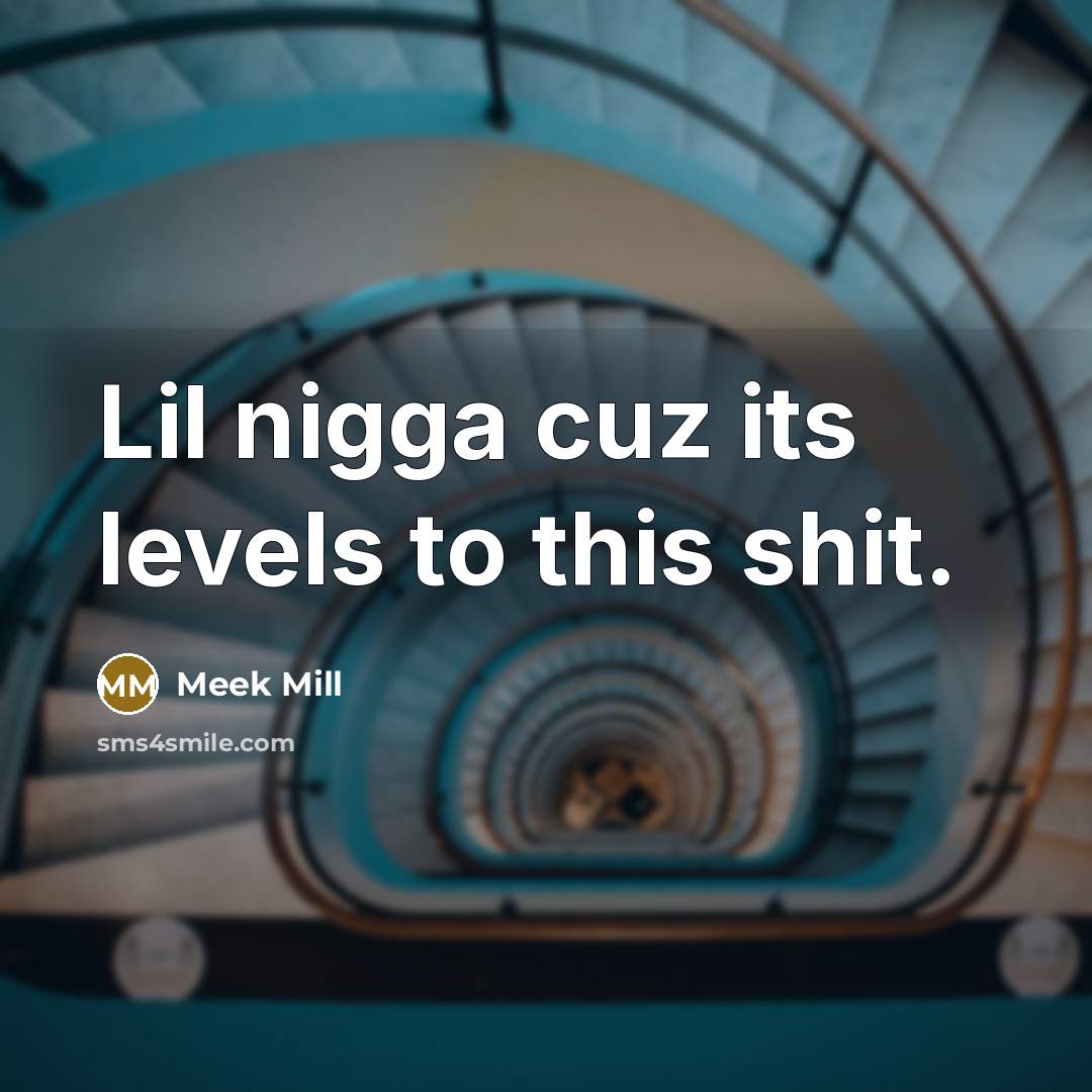 “Lil nigga cuz its levels to this shit.” quote by Meek Mill