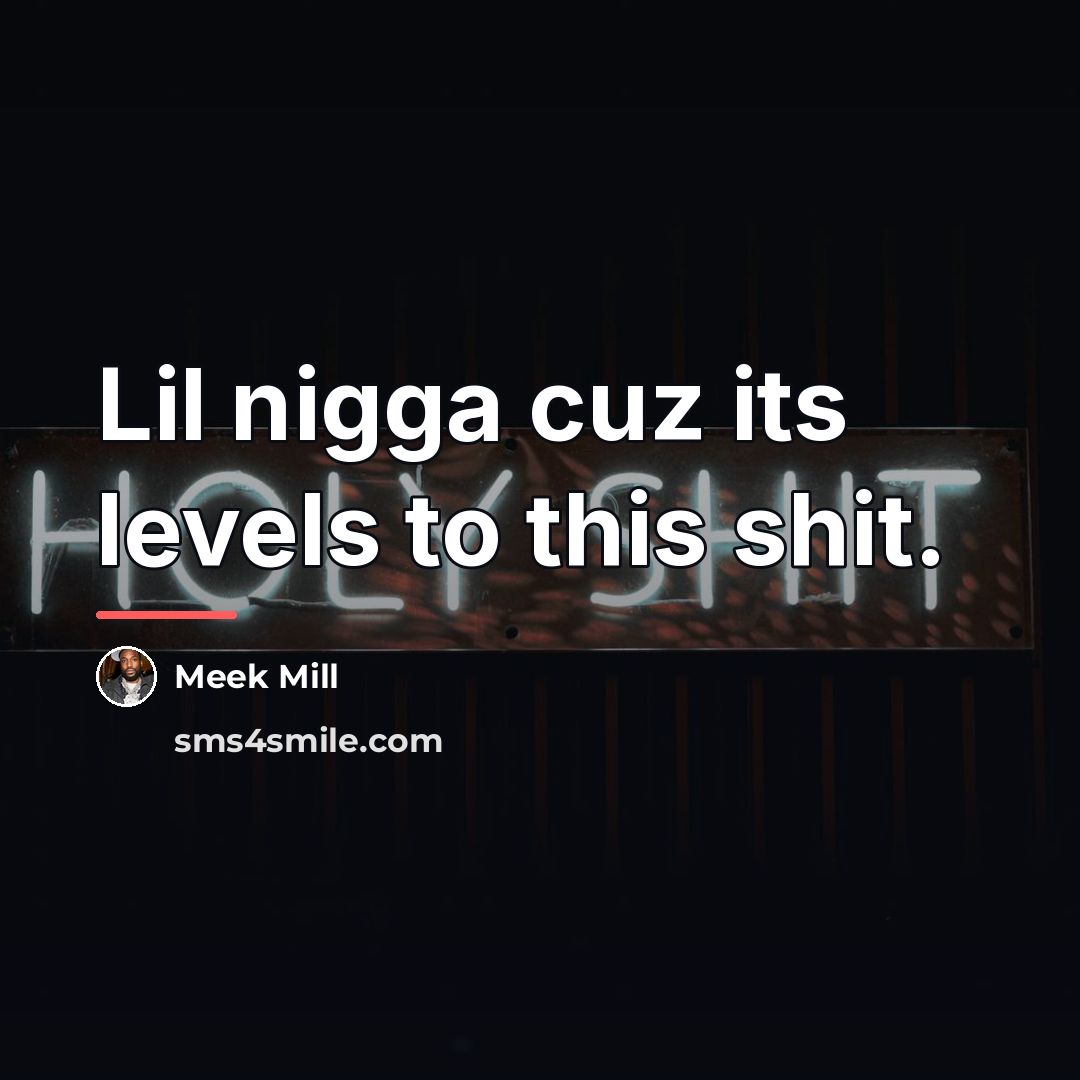 “Lil nigga cuz its levels to this shit.…” quote by Meek Mill