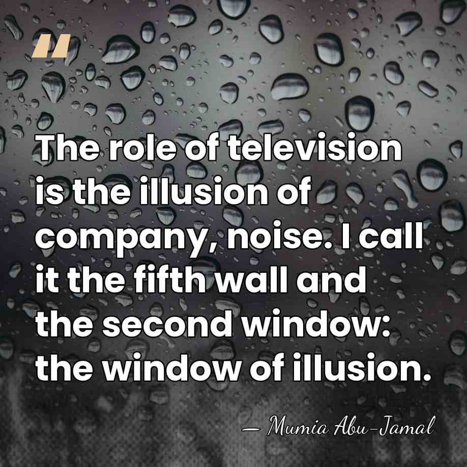 The role of television is the illusion of company, noise. I call&hellip; - Mumia Abu-Jamal