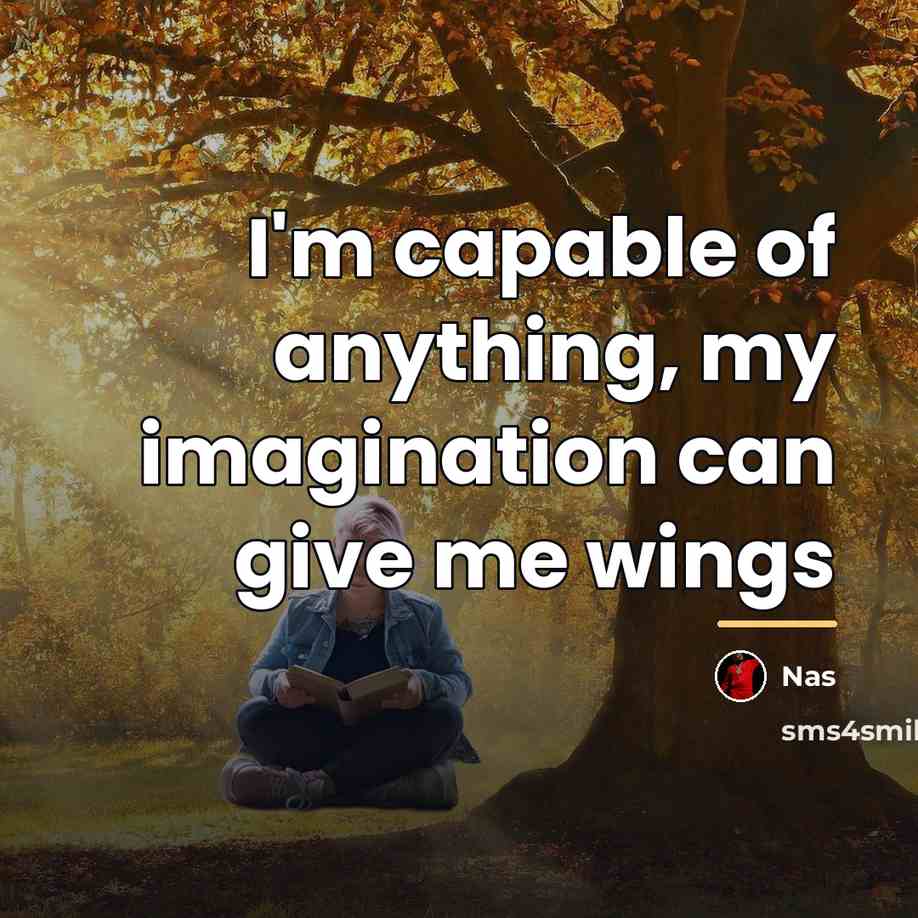 “I'm capable of anything, my imagination can give me wings…” quote by Nas