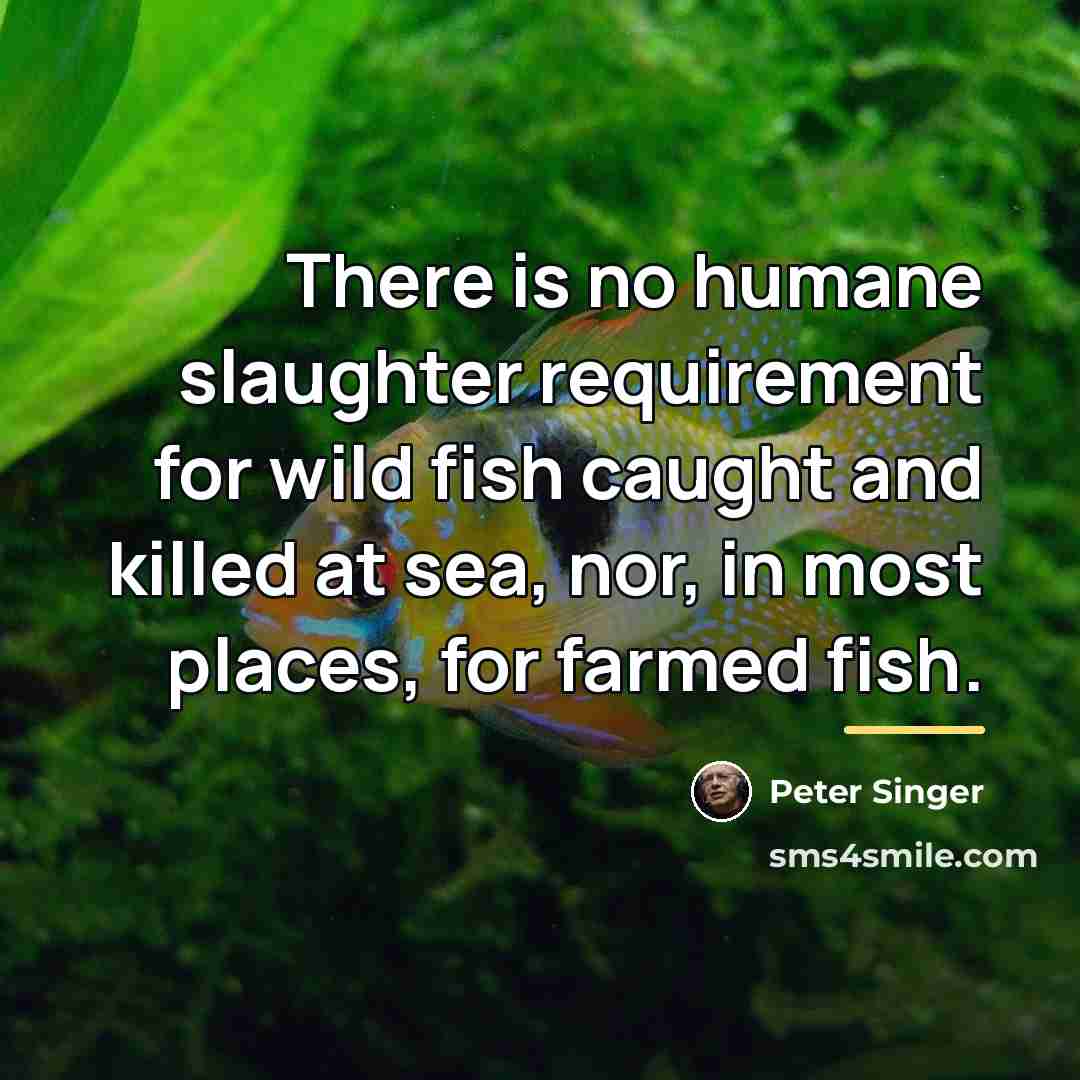 “There is no humane slaughter requirement for wild fish caught…” quote by Peter Singer