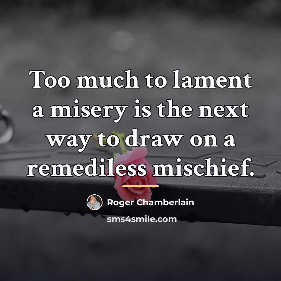 “Too much to lament a misery is the next way…” quote by Roger Chamberlain