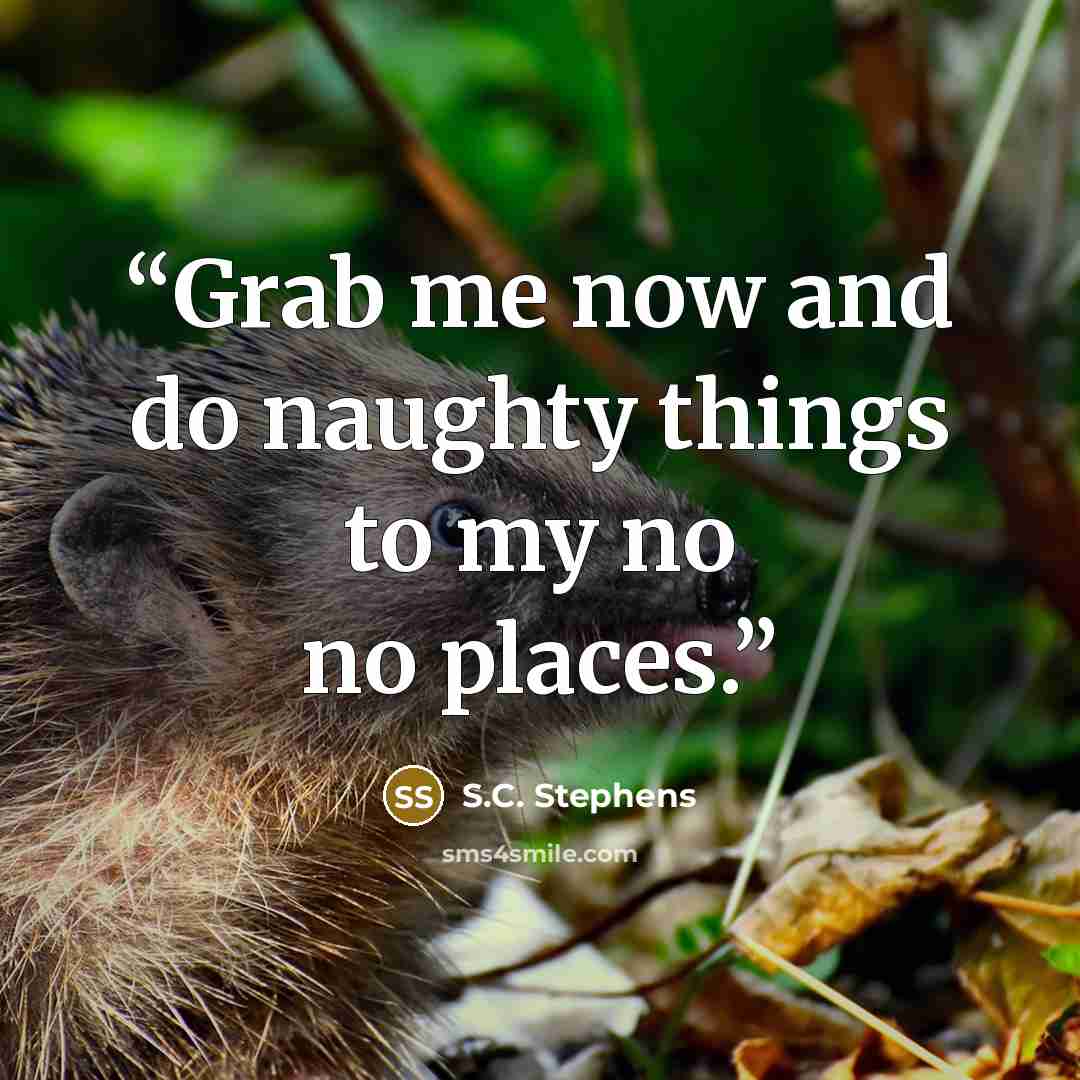 “Grab me now and do naughty things to my no no places.” quote by S.C. Stephens