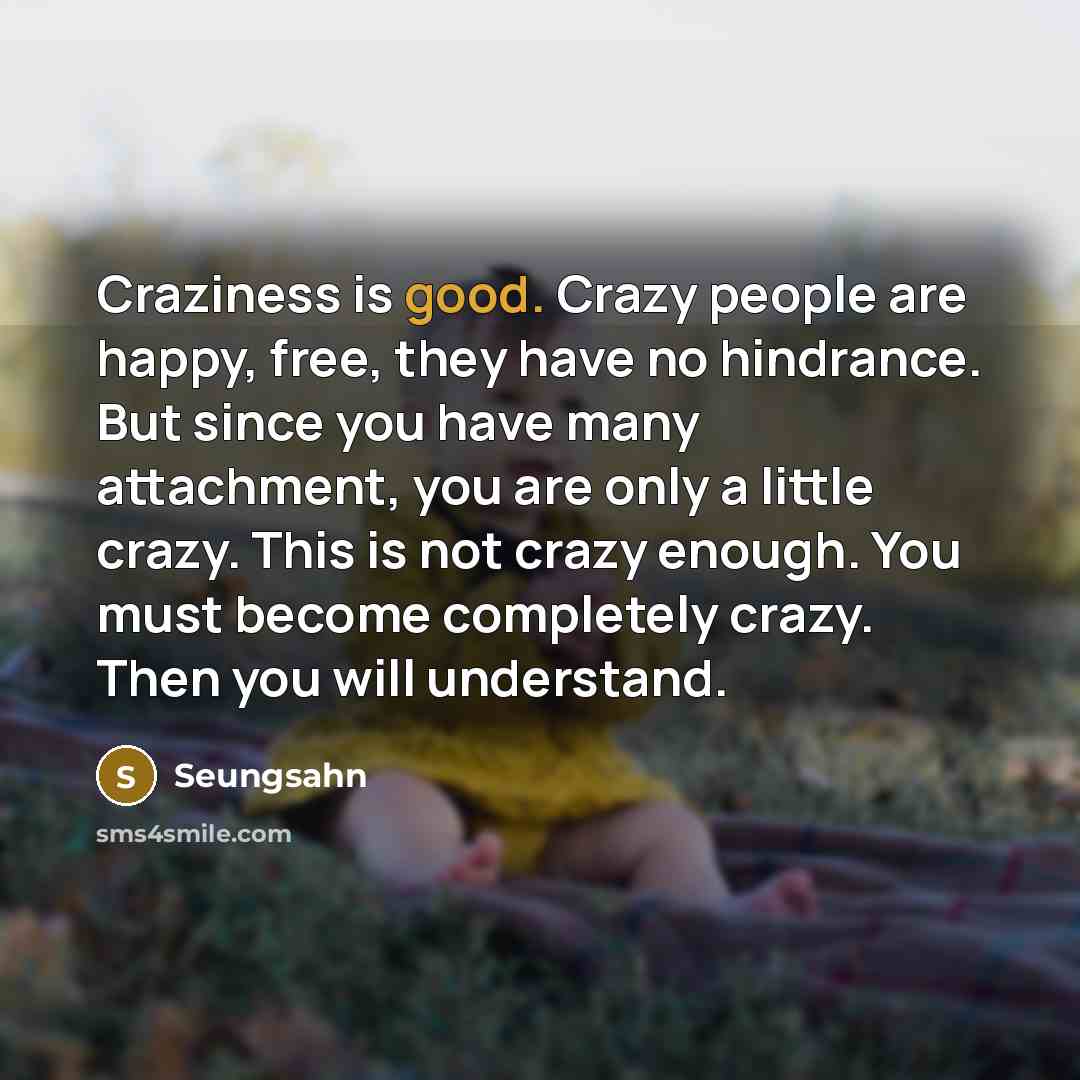“Craziness is good. Crazy people are happy, free, they have…” quote by Seungsahn