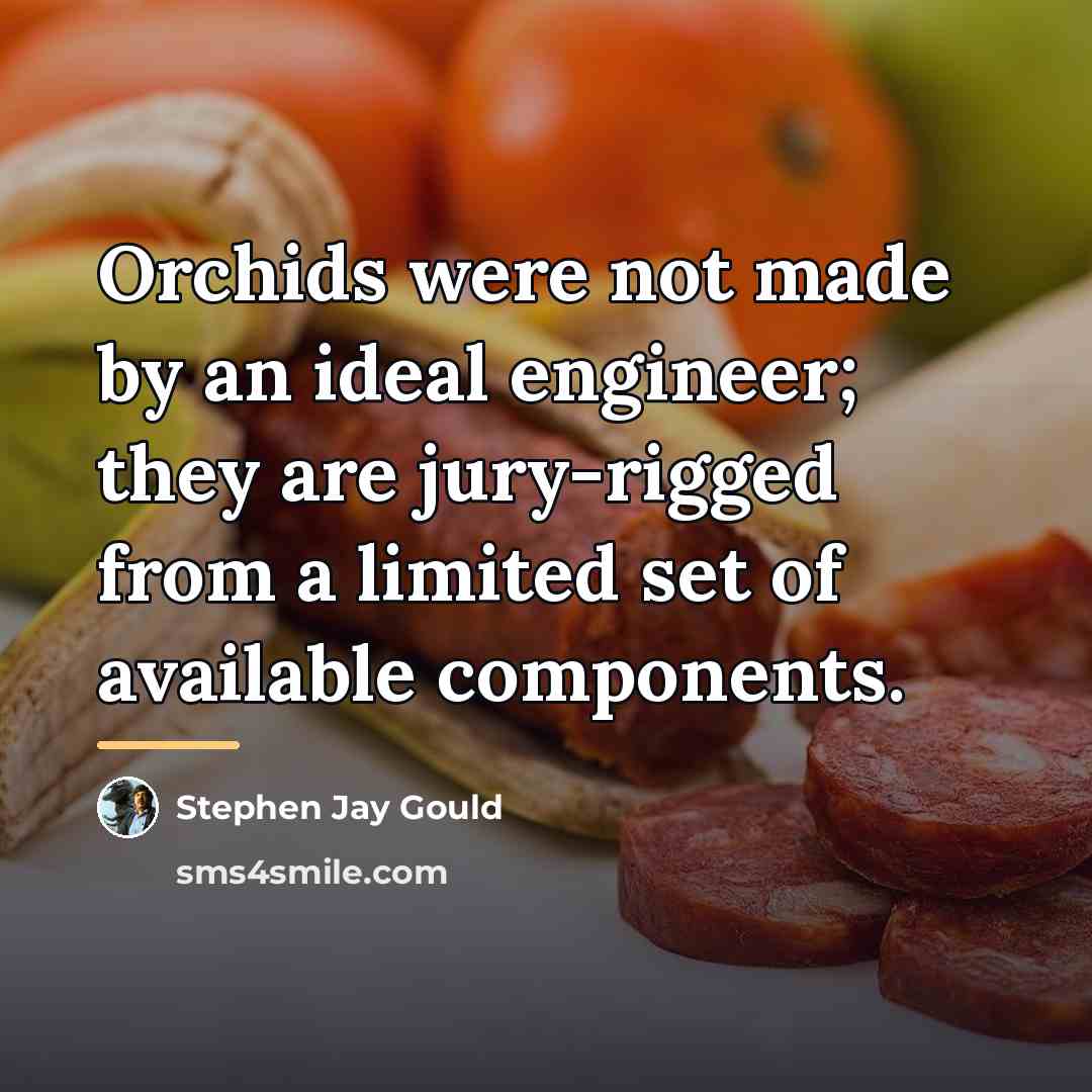 “Orchids were not made by an ideal engineer; they are…” quote by Stephen Jay Gould