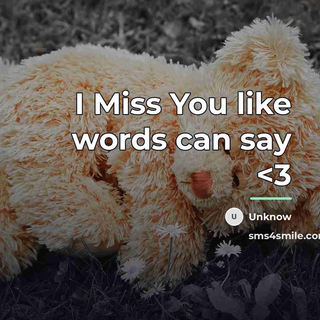“I Miss You like words can say…” quote by Unknow