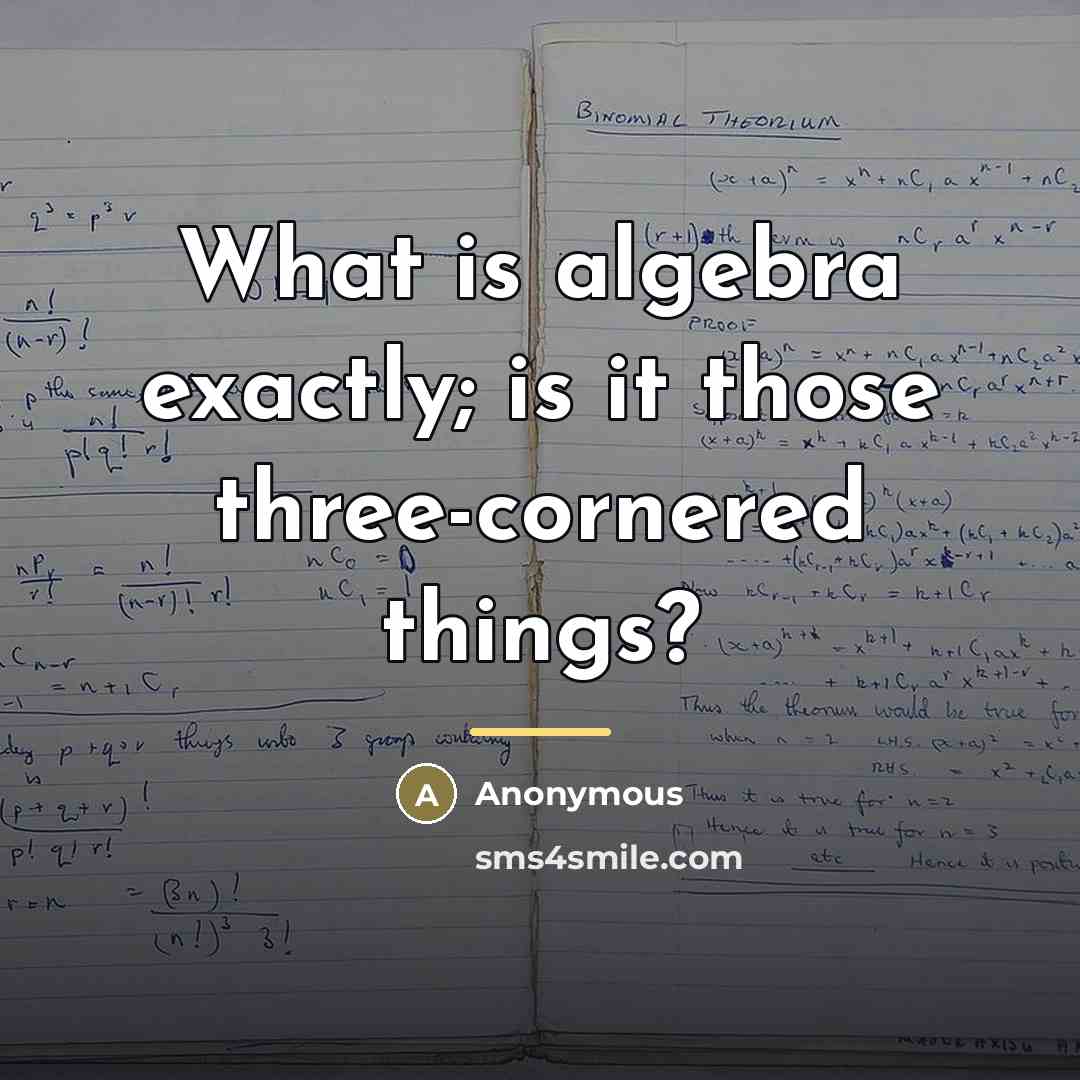 “What is algebra exactly; is it those three-cornered things?…” quote by Anonymous