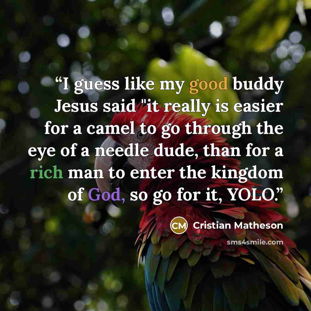 “I guess like my good buddy Jesus said "it really is easier for a camel to go through the eye of a needle dude, than for a rich man to enter the kingdom of God, so go for it, YOLO.” quote by Cristian Matheson