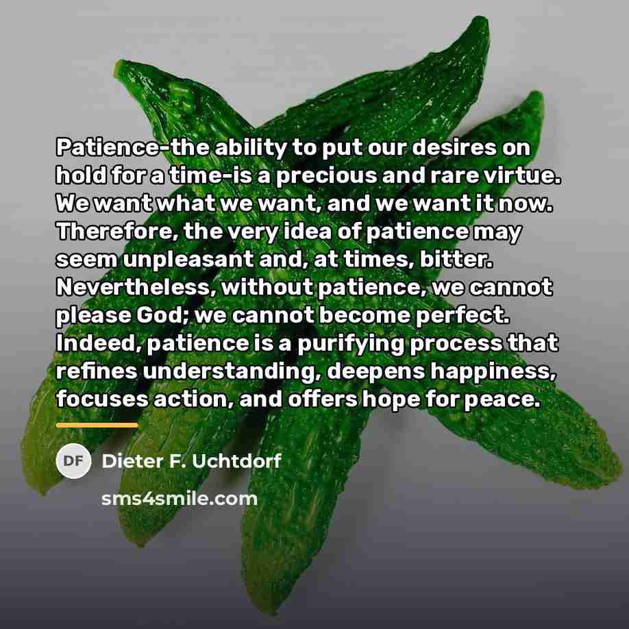 “Patience-the ability to put our desires on hold for a…” quote by Dieter F. Uchtdorf