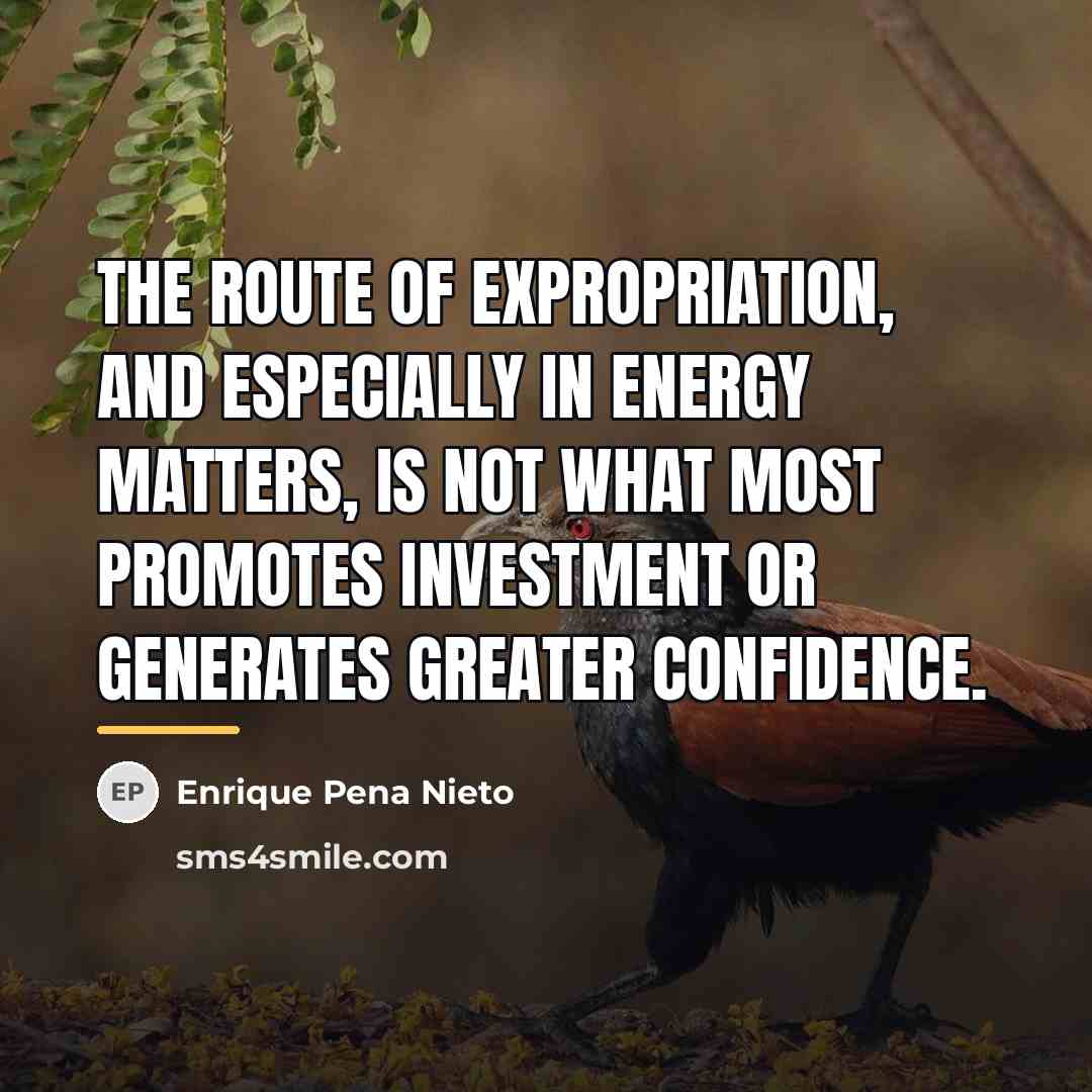 “The route of expropriation, and especially in energy matters, is…” quote by Enrique Pena Nieto