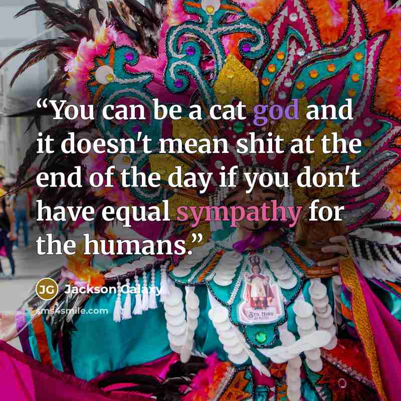 “You can be a cat god and it doesn't mean shit at the end of the day if you don't have equal sympathy for the humans.” quote by Jackson Galaxy