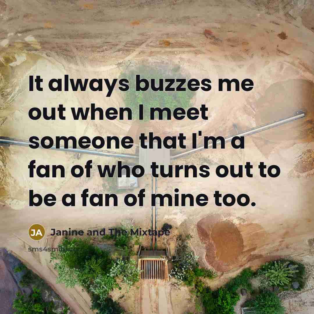 “It always buzzes me out when I meet someone that…” quote by Janine and The Mixtape