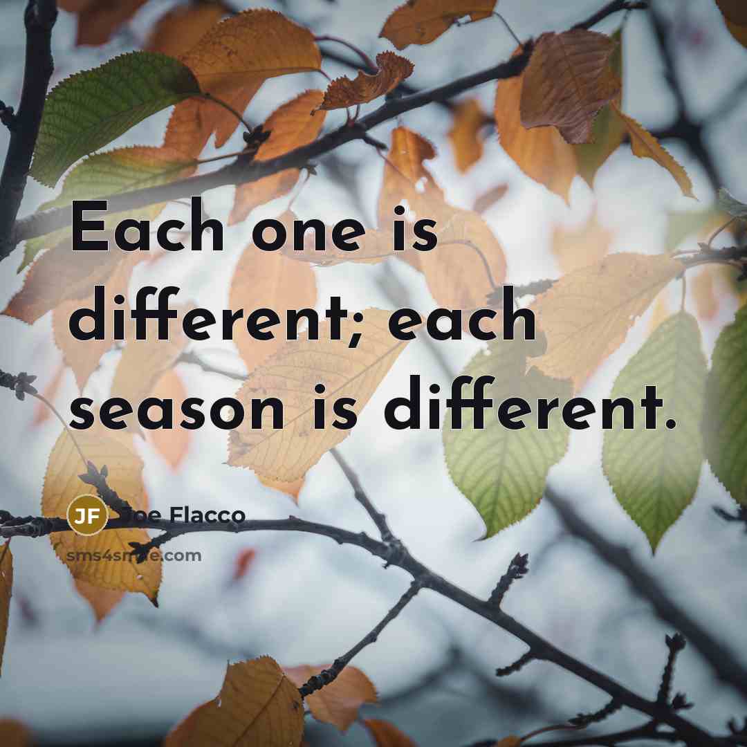 “Each one is different; each season is different.…” quote by Joe Flacco