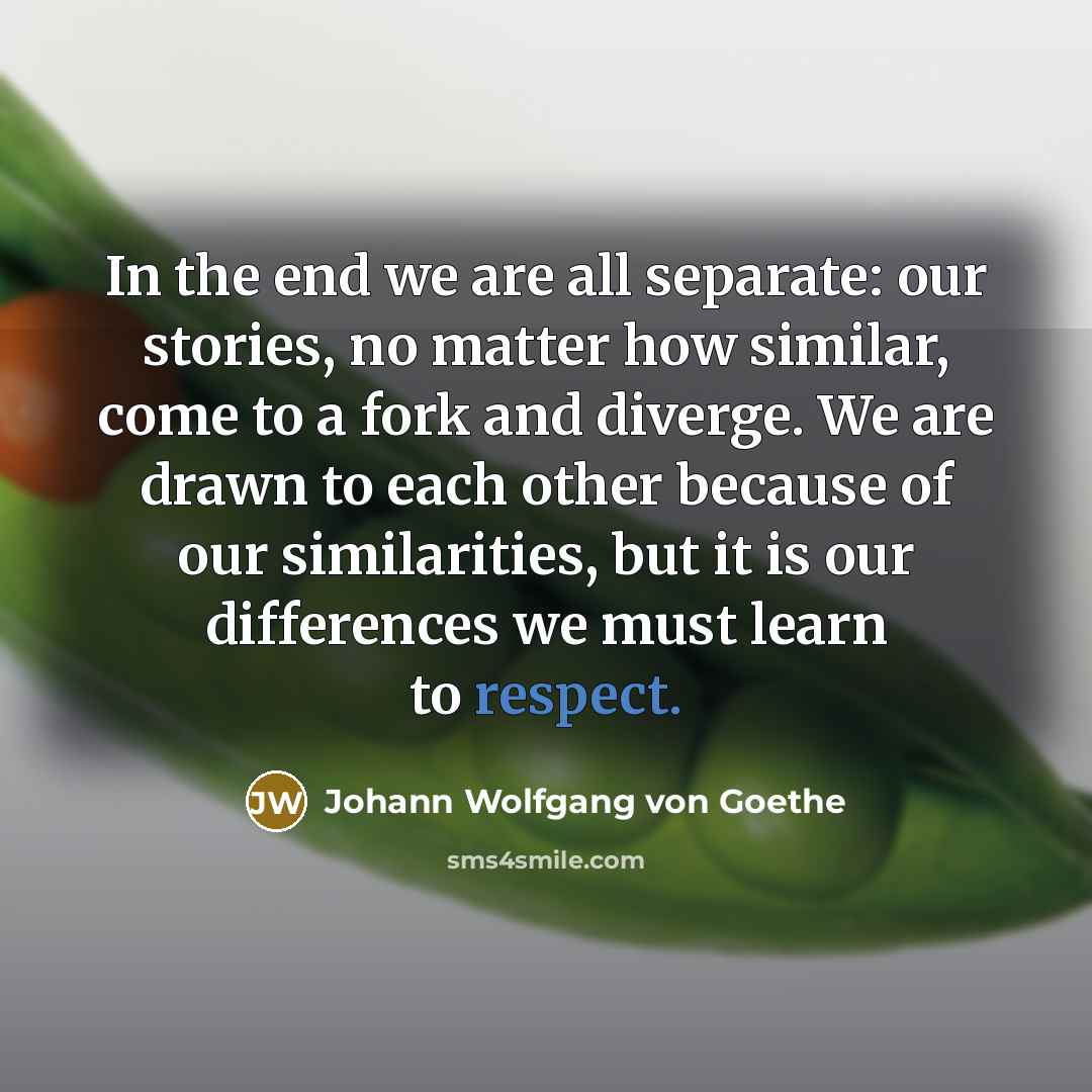 “In the end we are all separate: our stories, no…” quote by Johann Wolfgang von Goethe