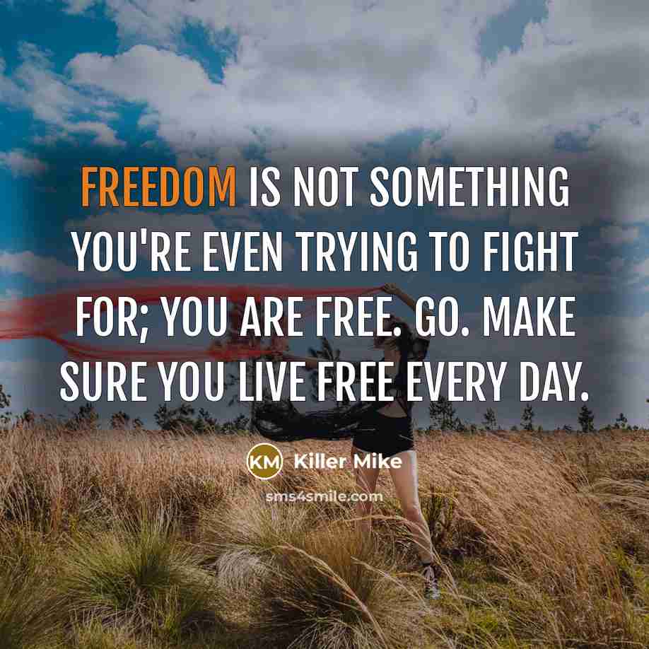 “Freedom is not something you're even trying to fight for;…” quote by Killer Mike