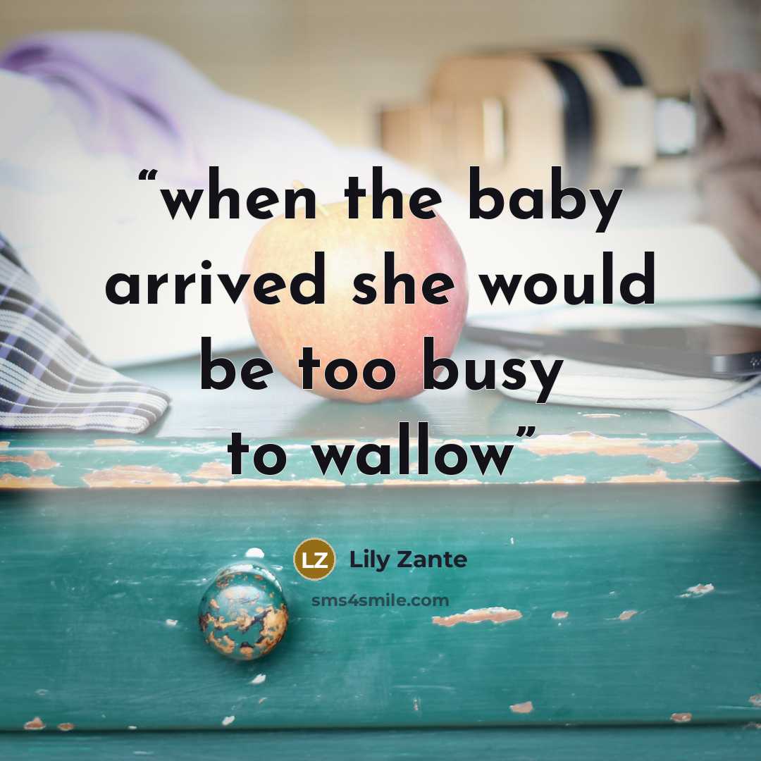 “when the baby arrived she would be too busy to wallow” quote by Lily Zante