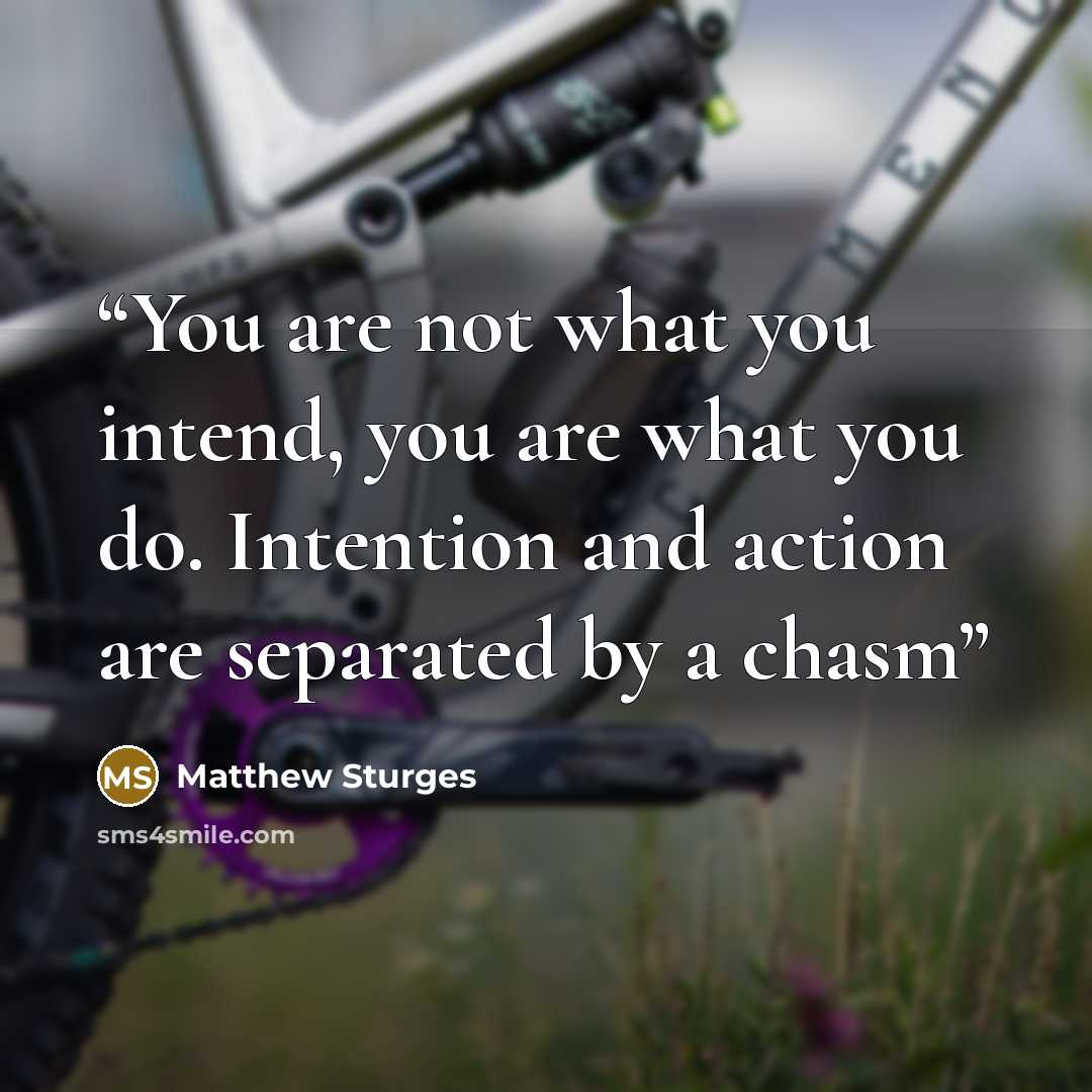 “You are not what you intend, you are what you do. Intention and action are separated by a chasm” quote by Matthew Sturges