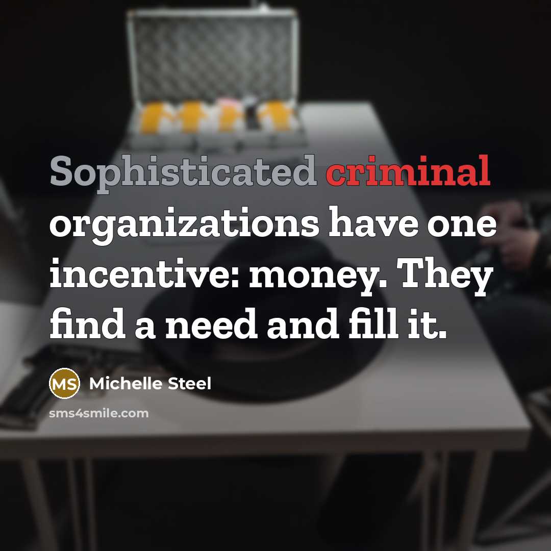 “Sophisticated criminal organizations have one incentive: money. They find a…” quote by Michelle Steel