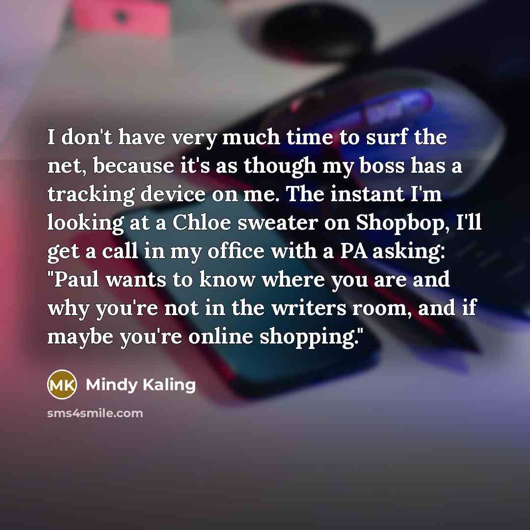 “I don't have very much time to surf the net,…” quote by Mindy Kaling