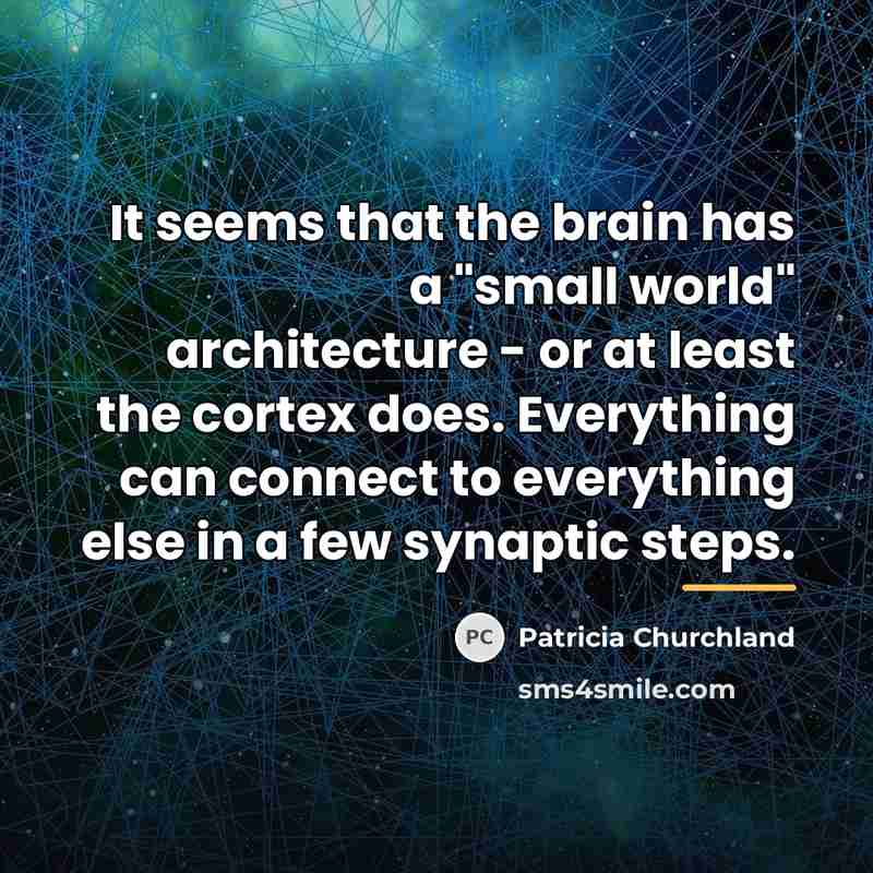“It seems that the brain has a "small world" architecture…” quote by Patricia Churchland