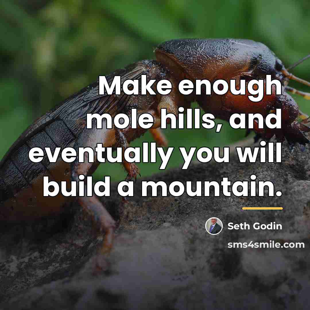 “Make enough mole hills, and eventually you will build a…” quote by Seth Godin