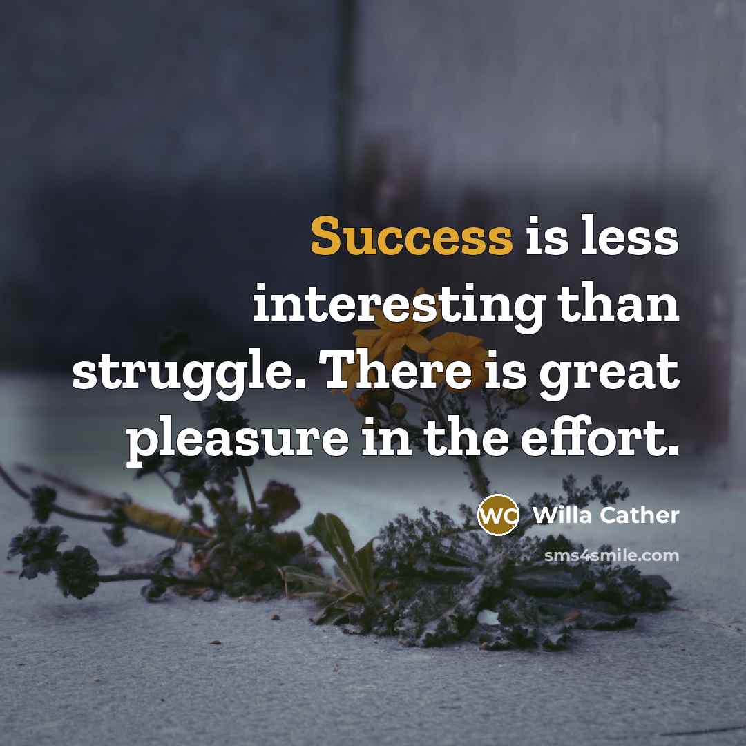 “Success is less interesting than struggle. There is great pleasure…” quote by Willa Cather