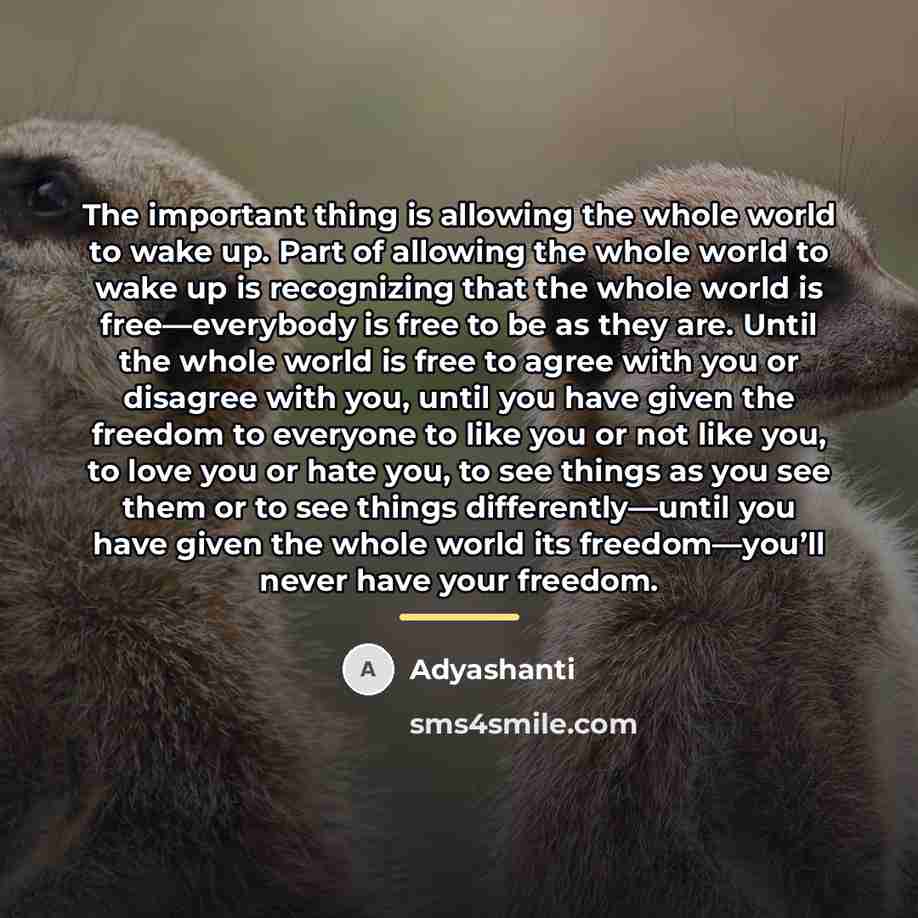 “The important thing is allowing the whole world to wake…” quote by Adyashanti