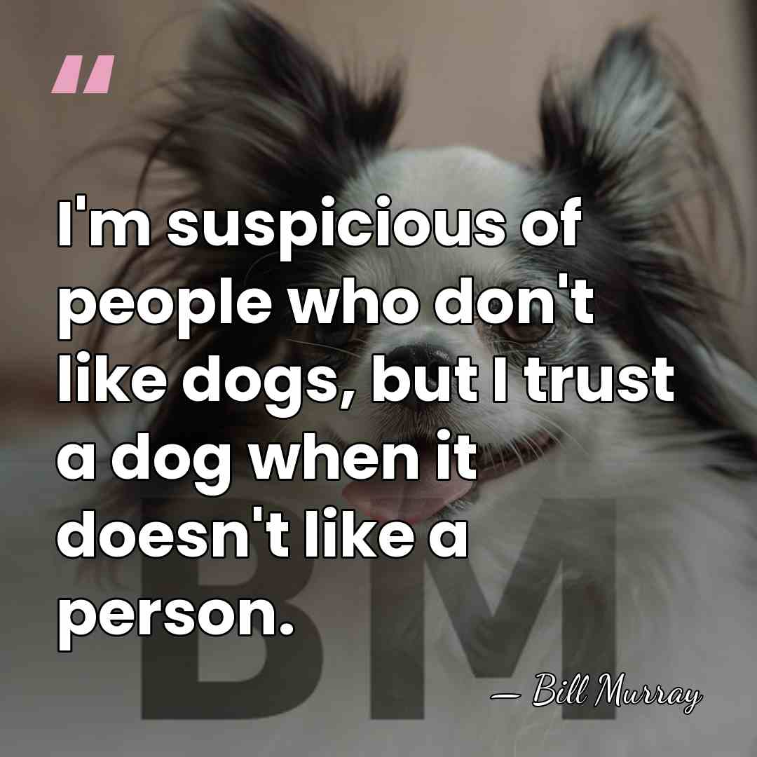 I'm suspicious of people who don't like dogs, but I trust a&hellip; - Bill Murray