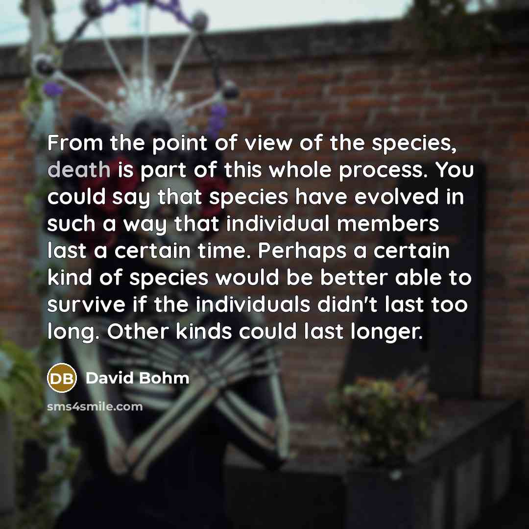 “From the point of view of the species, death is…” quote by David Bohm