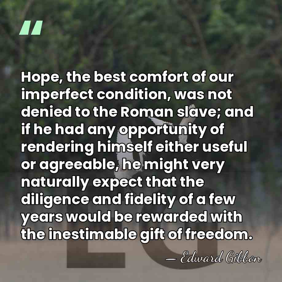 Hope, the best comfort of our imperfect condition, was not denied to&hellip; - Edward Gibbon