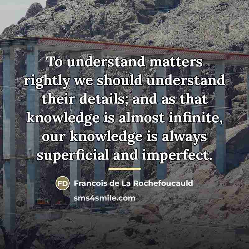 “To understand matters rightly we should understand their details; and…” quote by Francois de La Rochefoucauld