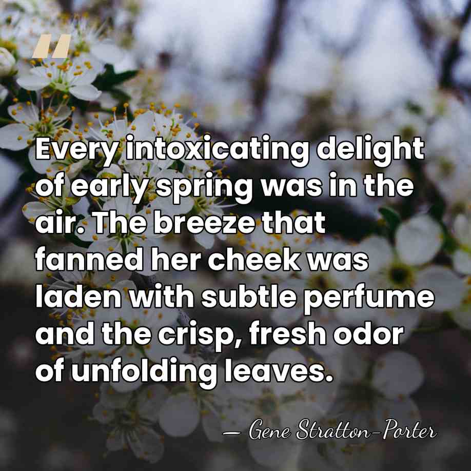 Every intoxicating delight of early spring was in the air. The breeze&hellip; - Gene Stratton-Porter
