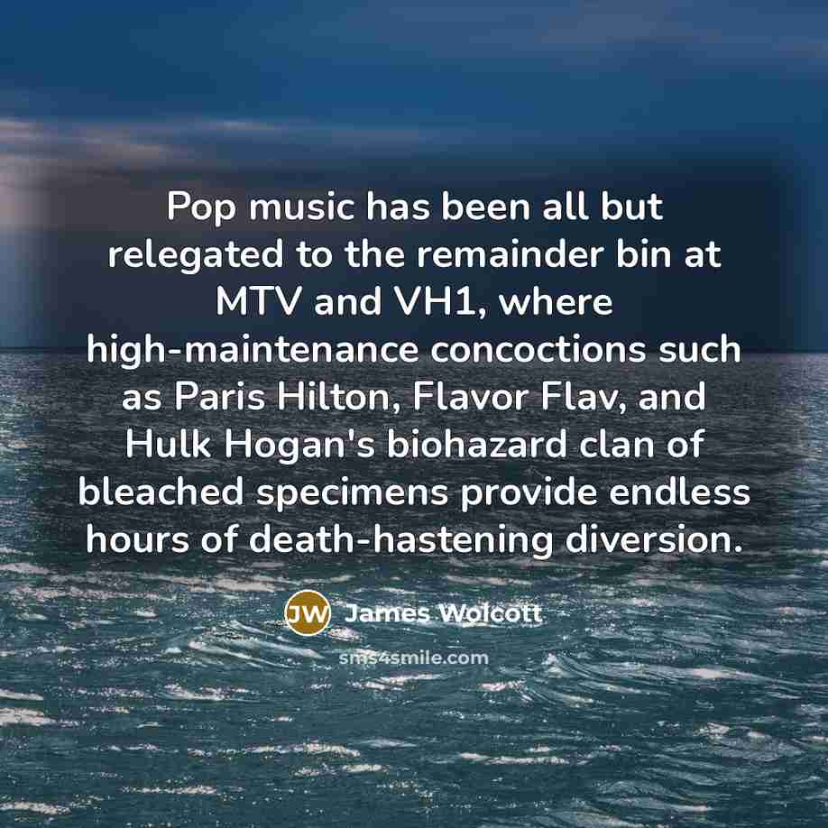 “Pop music has been all but relegated to the remainder…” quote by James Wolcott