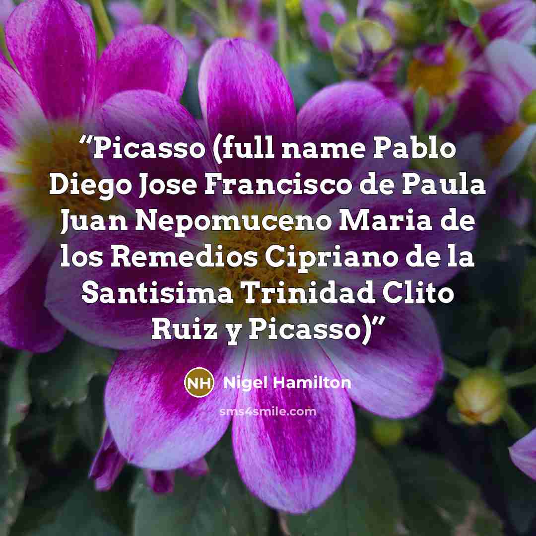 “Picasso (full name Pablo Diego Jose Francisco de Paula Juan Nepomuceno Maria de los Remedios Cipriano de la Santisima Trinidad Clito Ruiz y Picasso)” quote by Nigel Hamilton