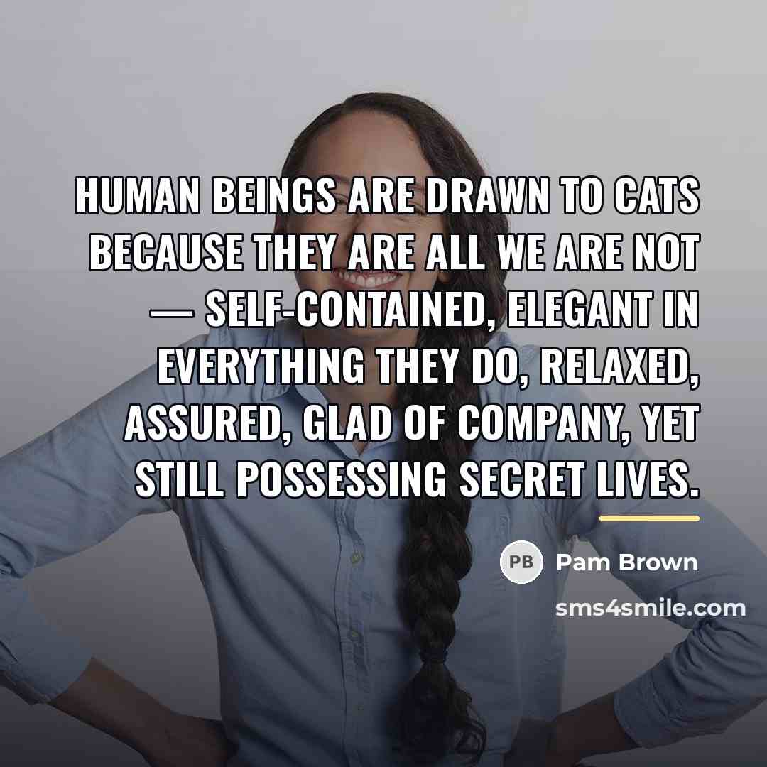 “Human beings are drawn to cats because they are all…” quote by Pam Brown